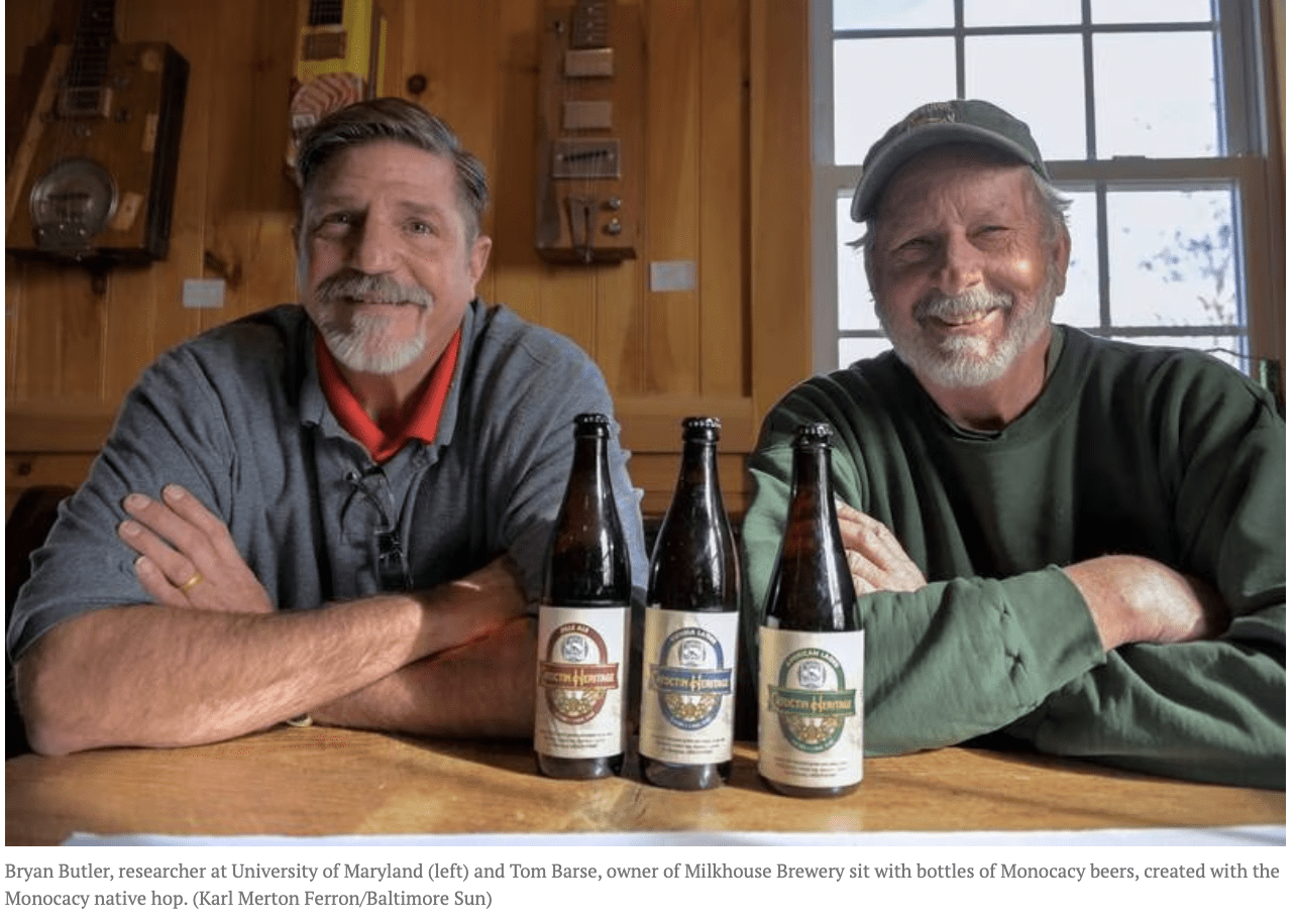 Monocacy, Maryland's Hop At Heavy Seas Brewing | DC Beer