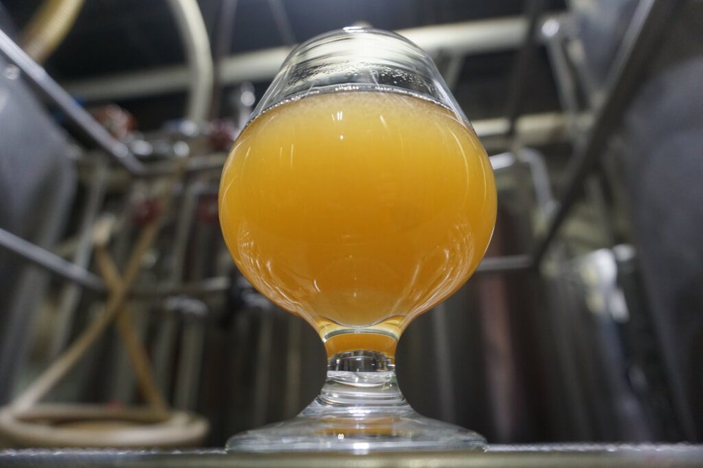 Ocelot andy's pizza wort pic