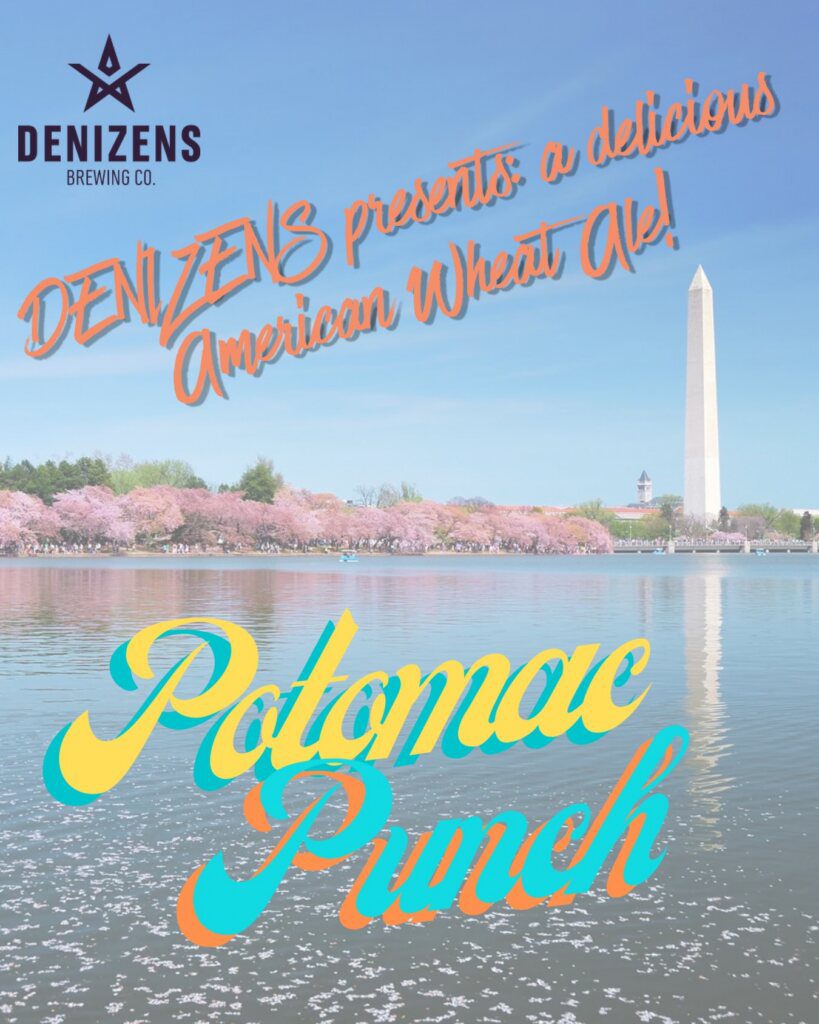 denizens potomac punch flyer